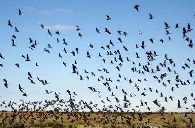 三角洲irene_塞内加尔河三角洲图_三角洲河流分叉的原因