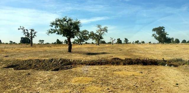 塞内加尔河三角洲图_三角洲irene_三角洲河流分叉的原因