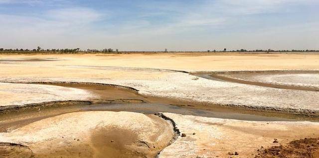 三角洲河流分叉的原因_塞内加尔河三角洲图_三角洲irene