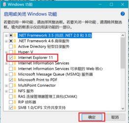 WIN10系统可以安装IE11吗