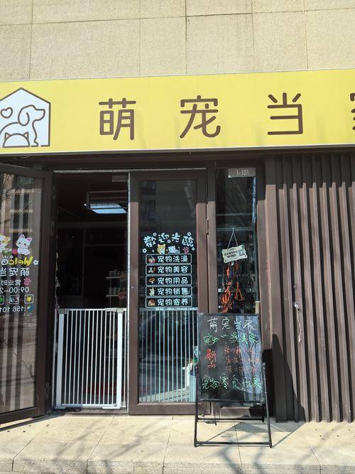 副业赚钱宠物家具_宠物经济小本创业_去年小本赚钱生意