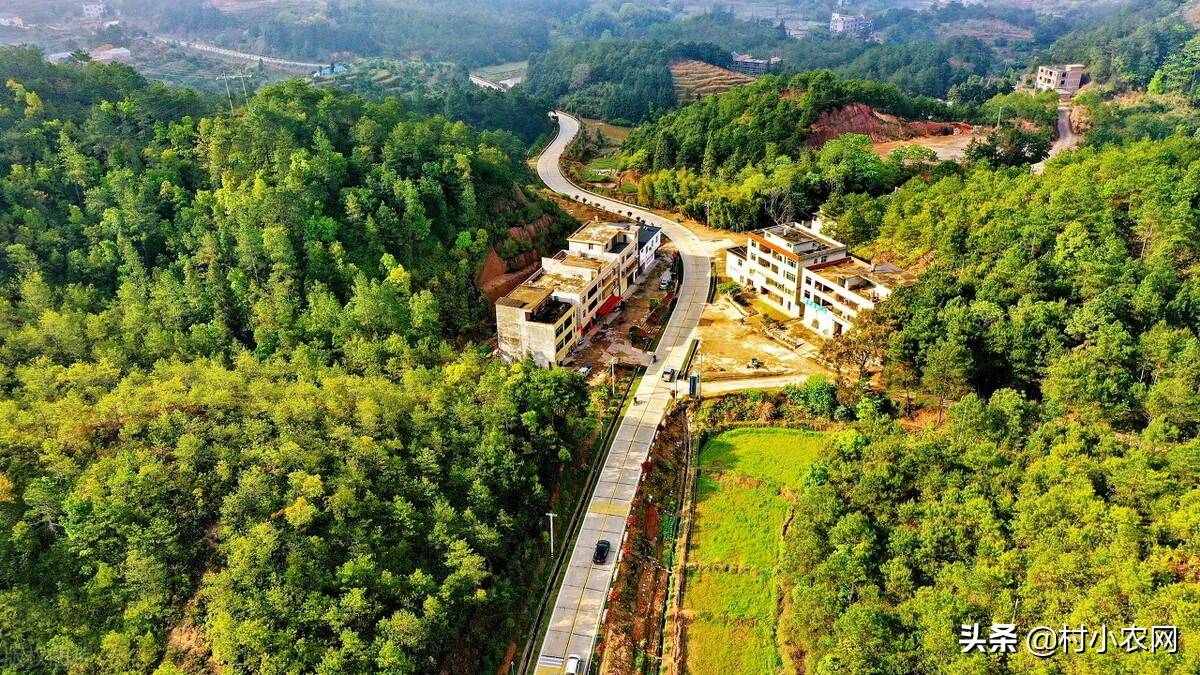 农村水产养殖项目_农村药材种植项目_投资做什么赚钱