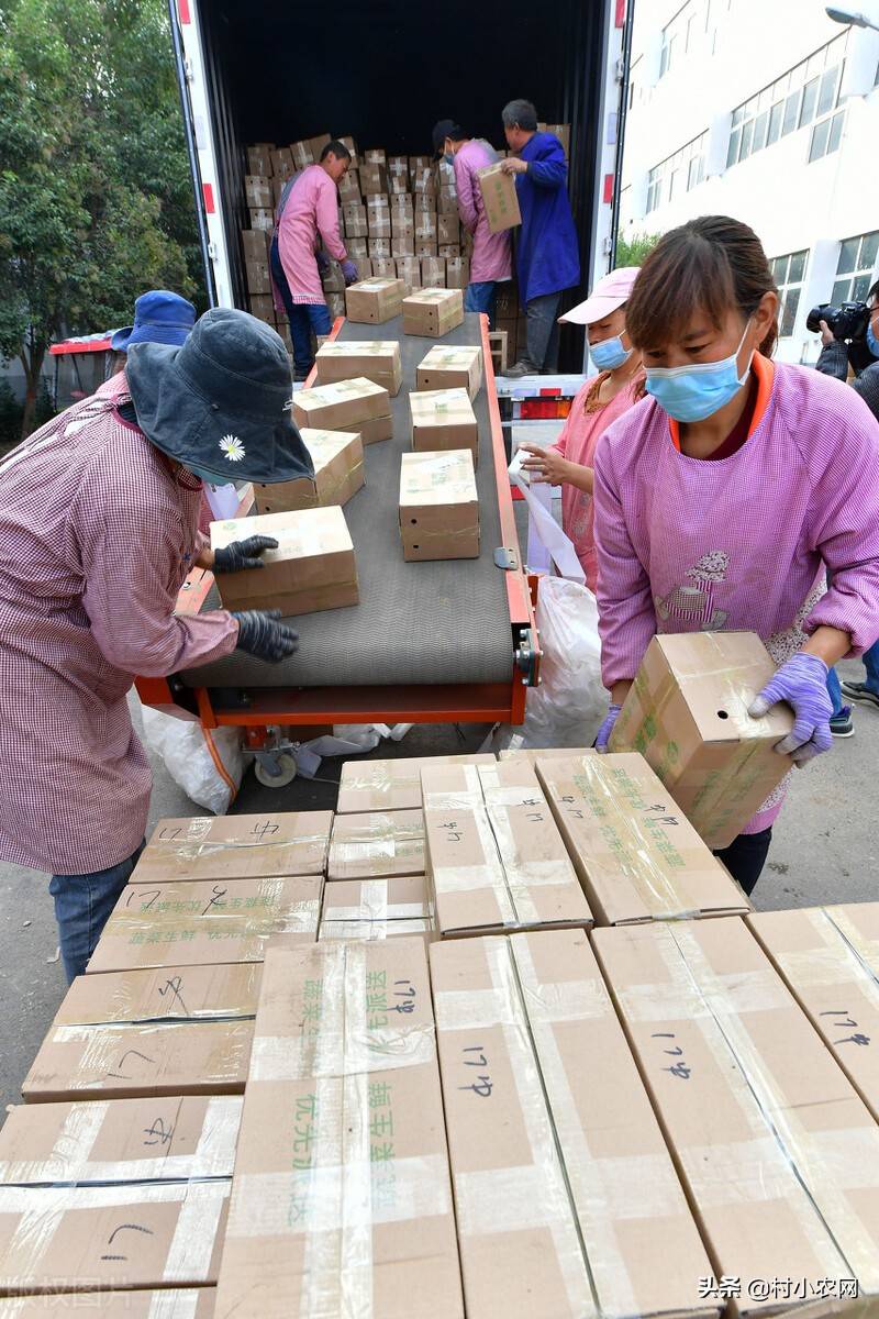 农村药材种植项目_投资做什么赚钱_农村水产养殖项目