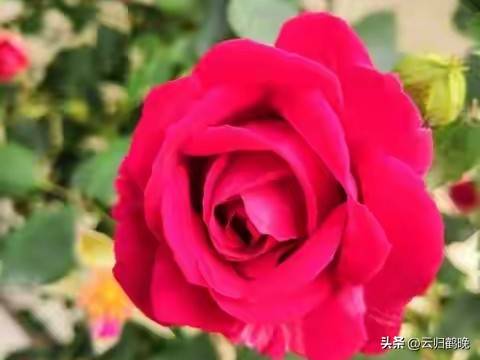 女性做什么赚钱_女性自我成长_女人赚钱爱自己