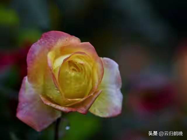 女性自我成长_女人赚钱爱自己_女性做什么赚钱