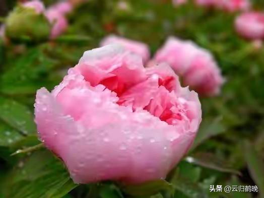 女性做什么赚钱_女人赚钱爱自己_女性自我成长