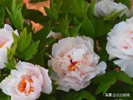 女性做什么赚钱_女性自我成长_女人赚钱爱自己