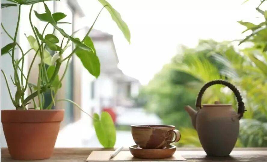 女人圈子简单_心思简单的生活_女性做什么赚钱