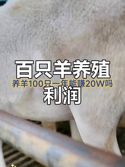 养羊成本和收入分析_养殖业什么赚钱?最赚钱的养殖_养100只羊一年能挣多少钱