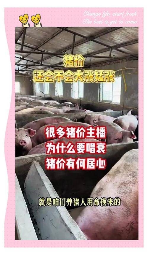 养殖业什么赚钱?最赚钱的养殖_养羊业产业周期_养猪业成本结构