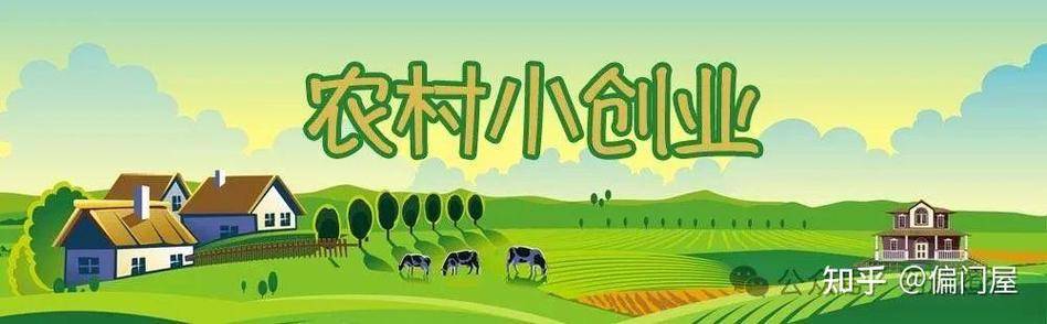 大学生如何创业赚钱_大学生农村创业项目_农村电商直播带货指南