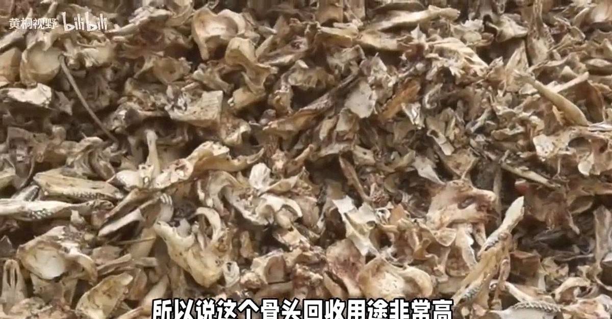 最轻松的赚钱方式_再生资源骨头生意_骨头回收