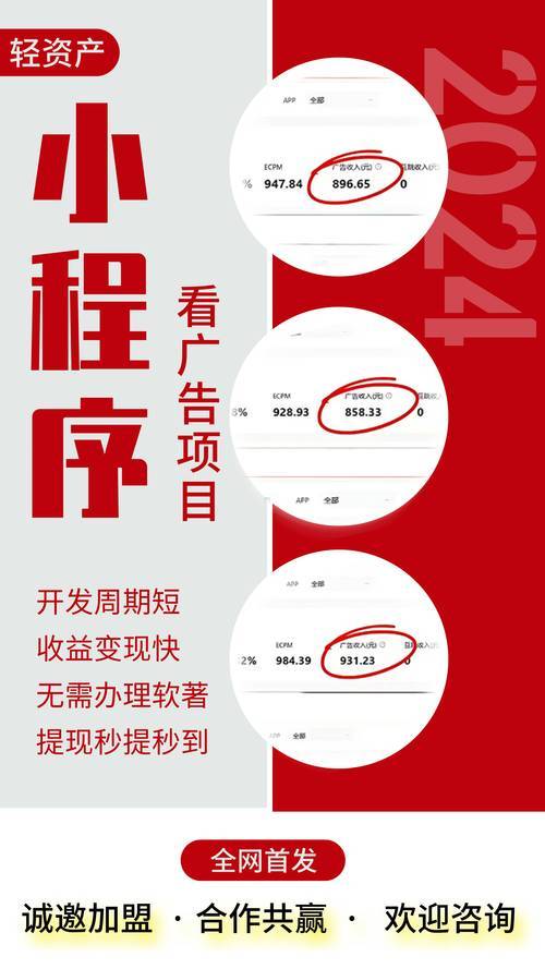 广告联盟系统源码开发_手机赚钱软件源码_看广告赚钱接口APP软件系统开发