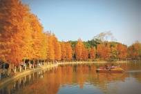 南宁这些道路、公园，要“刷新颜值”了！