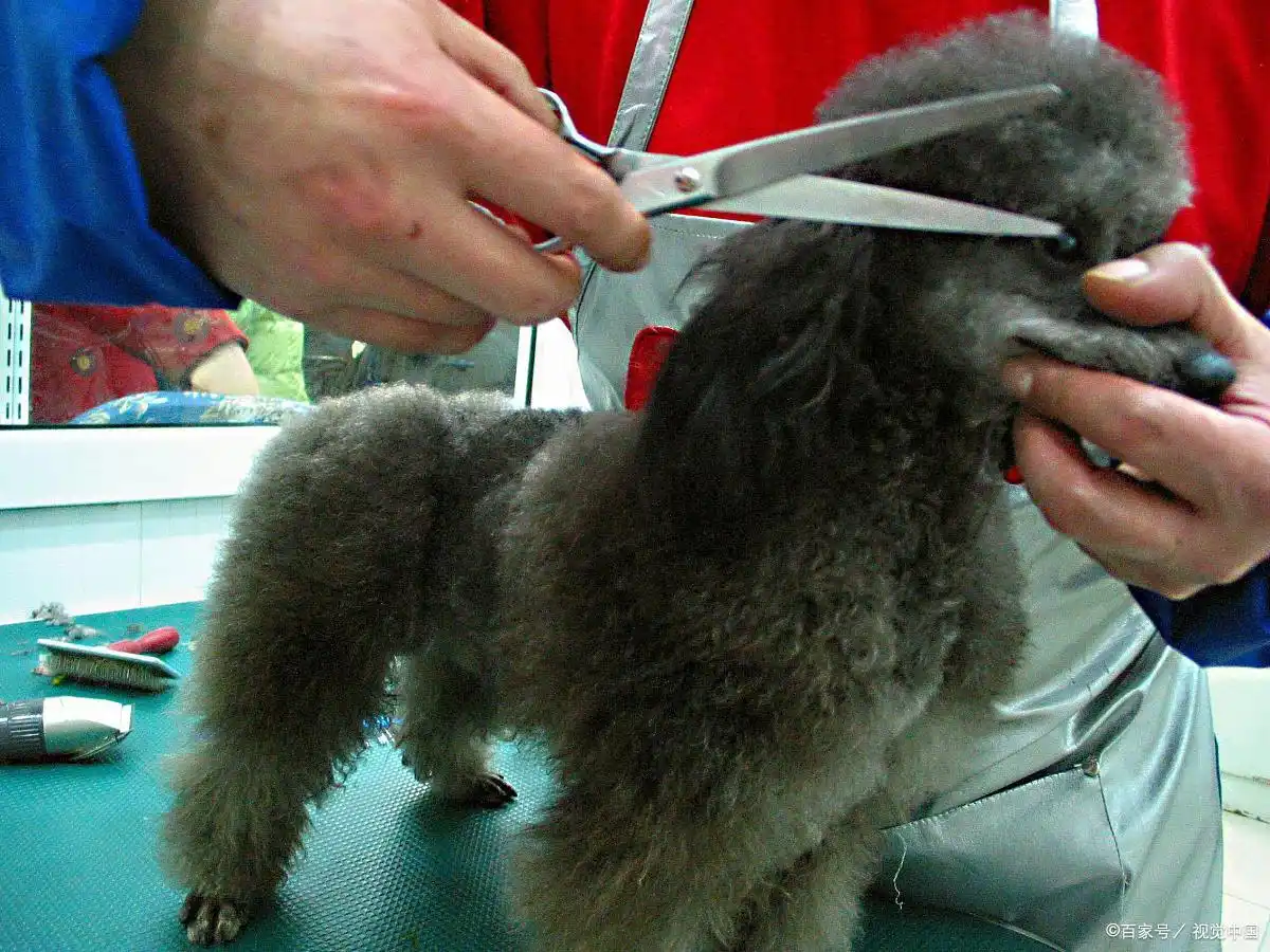 移动美容美发店推荐_小投资赚钱好项目_个人创业投资小项目