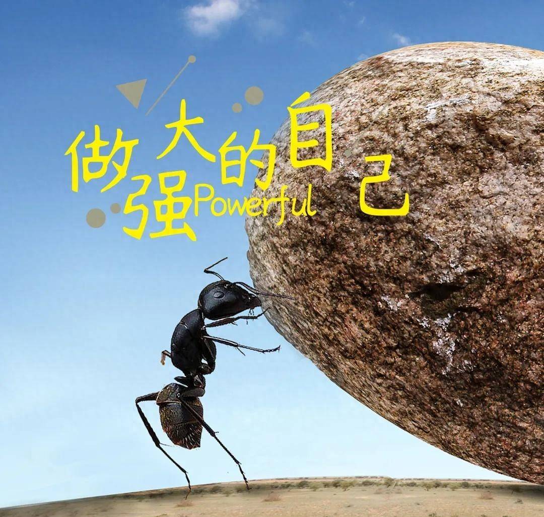 积累财富安全感_存金宝赚钱_存钱治愈焦虑迷茫