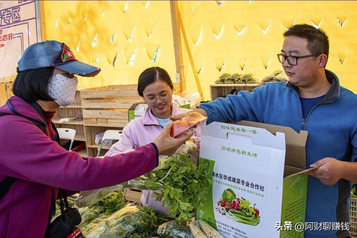 农产品直播技巧_乡村振兴电商直播带货_手机直播软件哪个赚钱