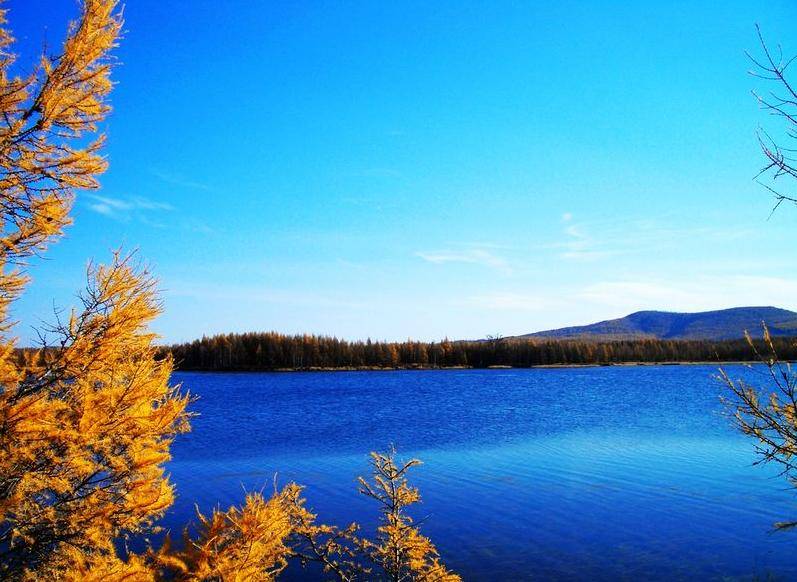 坚持行动创造价值_果断决策避免纠结_现在干啥能赚钱