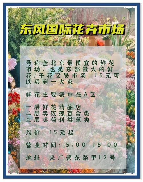 网上教育创业项目_今年干代理小本赚钱_小本生意赚钱项目