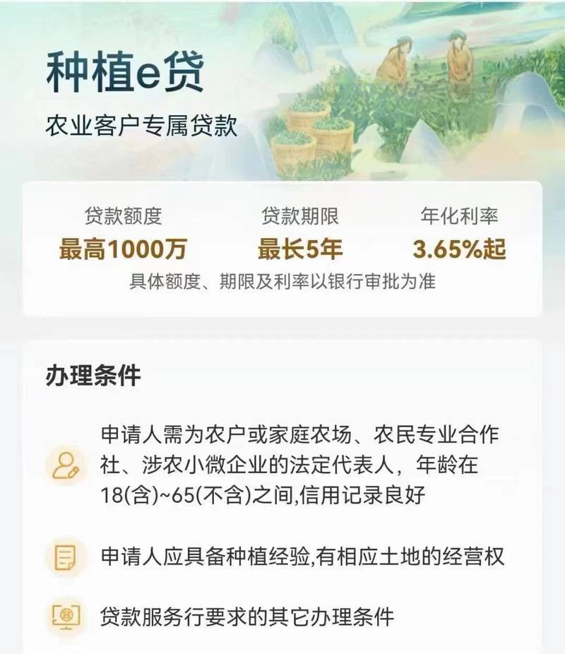 低风险高回报养殖项目_林下生态养鸡_小投资好项目赚钱