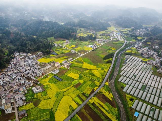小投资好项目赚钱_农村隐形金矿_农村不起眼生意赚钱