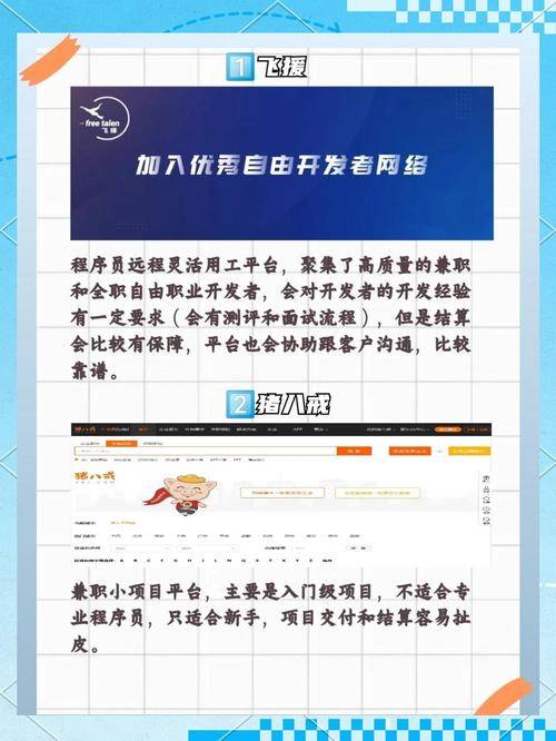 国外vpn代理赚钱_程序员接私活国外平台大全_国外程序员接私活平台推荐