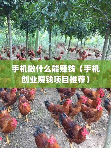 手机做什么能赚钱（手机创业赚钱项目推荐）