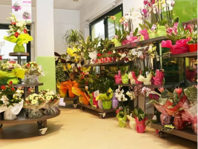 开什么店比较有前景_餐饮店前景分析_一般开什么店比较赚钱