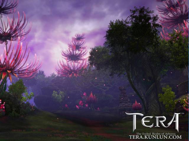 tera不删档测试激活码_TERA特权不删档测试 新手学堂 指南教程