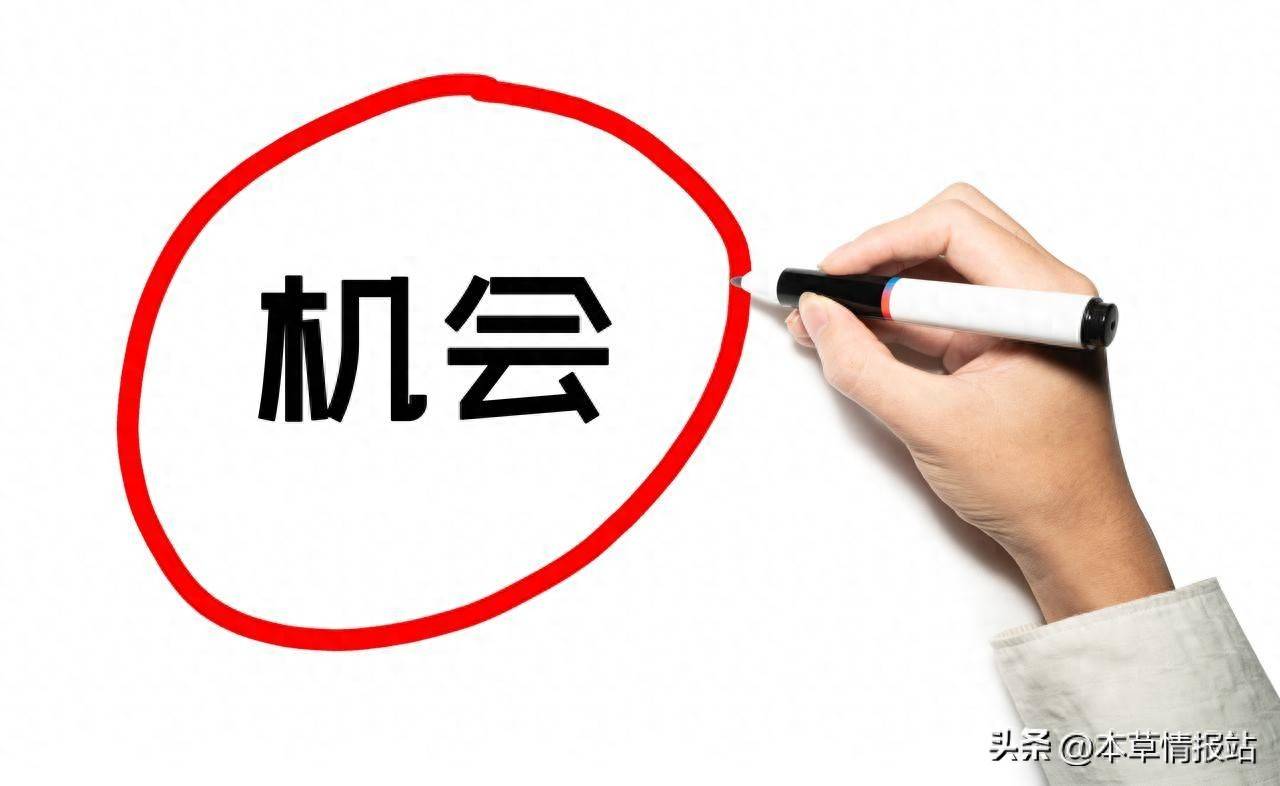 AI训练师_年轻人的下一个就业风口是什么_2026小本生意赚钱好项目