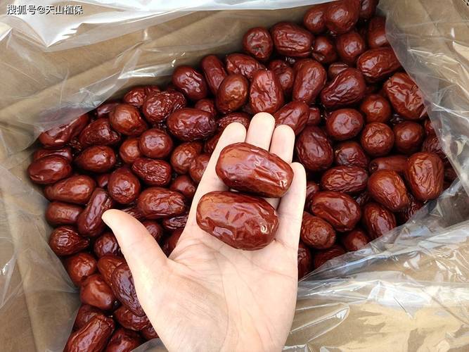 搜狐自媒体赚钱_自媒体AI工具推荐_新疆直播带货