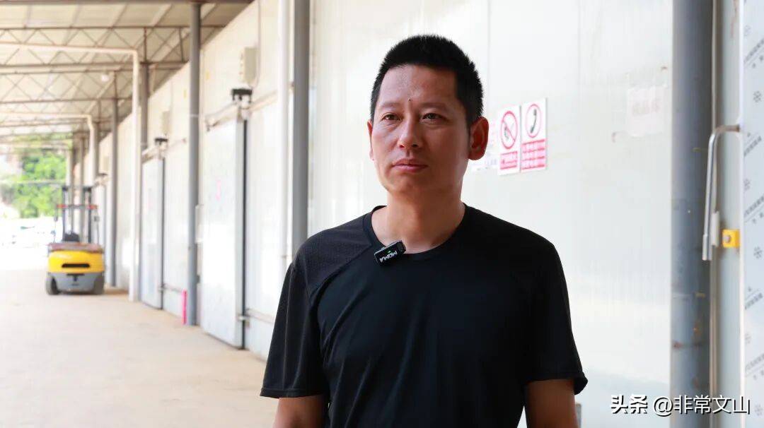 云南桃子种植技术_卖什么水果赚钱_文山桃产业基地