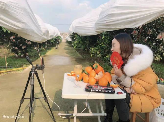 卖什么水果赚钱_农村电商成功案例_返乡青年做直播卖特产