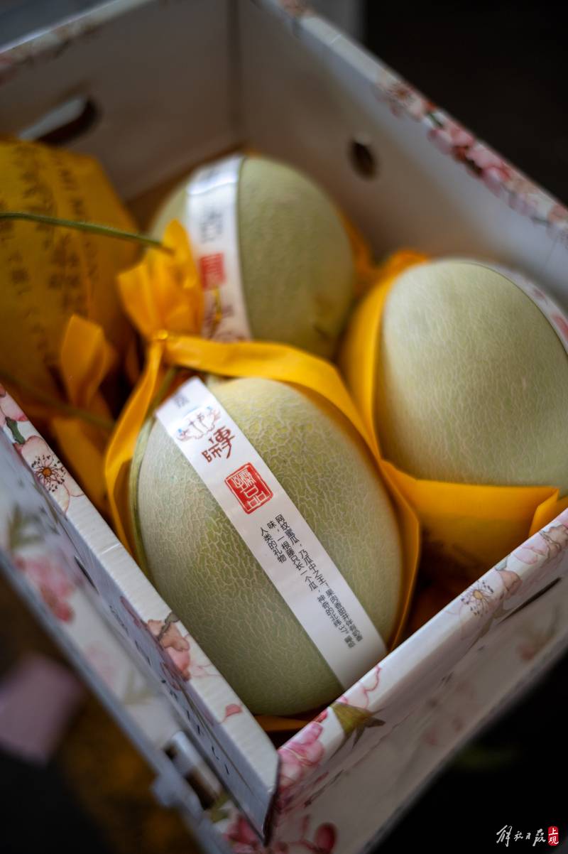 西郊国际农产品交易市场水果批发_老唐水果生意经_卖什么水果赚钱