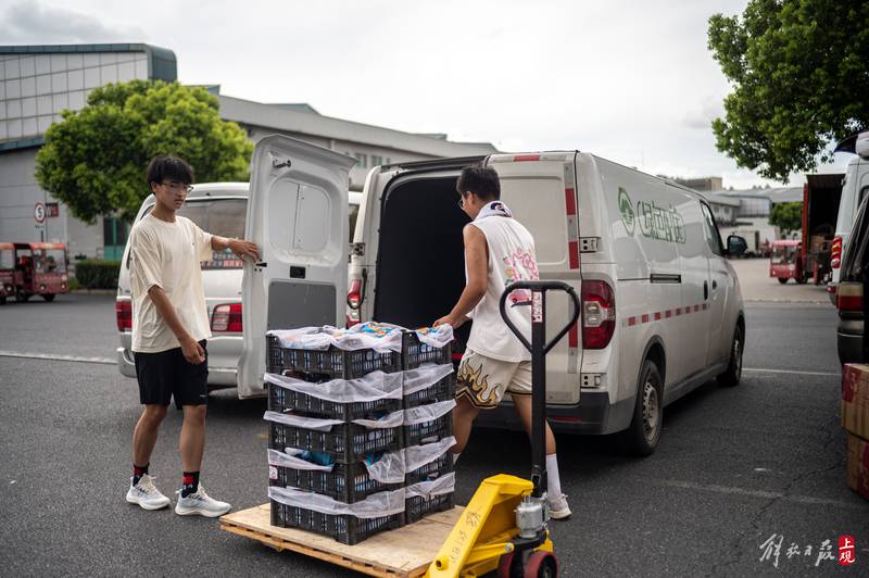 卖什么水果赚钱_西郊国际农产品交易市场水果批发_老唐水果生意经