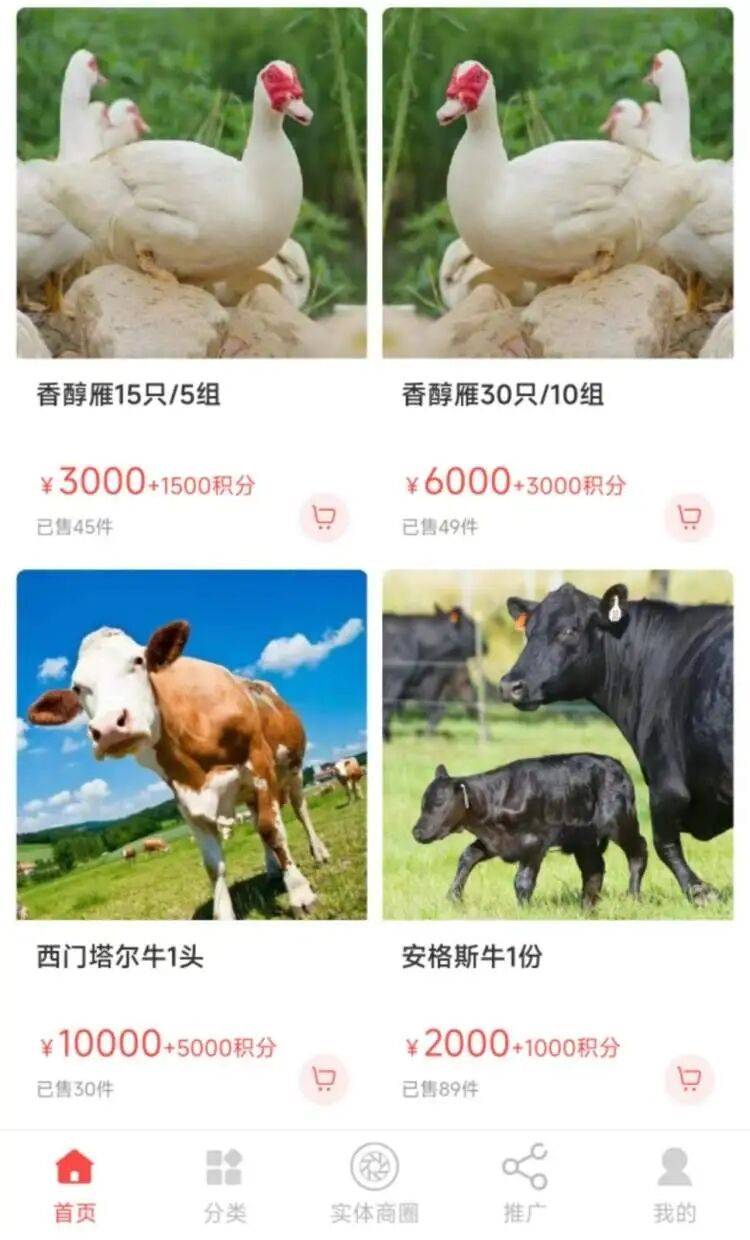 赚钱软件是传销吗_保本高息骗局_虚假平台理财风险