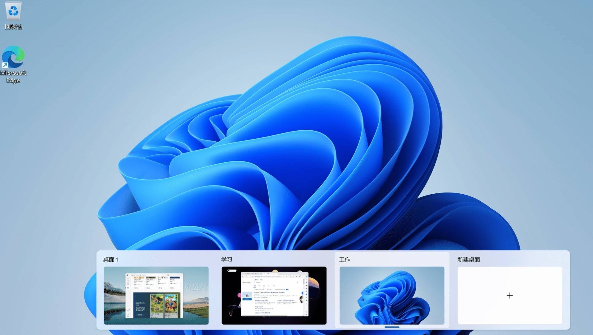 win xp电话激活码_Windows 11系统快捷键技巧_Windows 11高效操作指南
