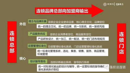 河狸家靠什么赚钱_河狸家盈利模式分析_美容连锁店盈利模式
