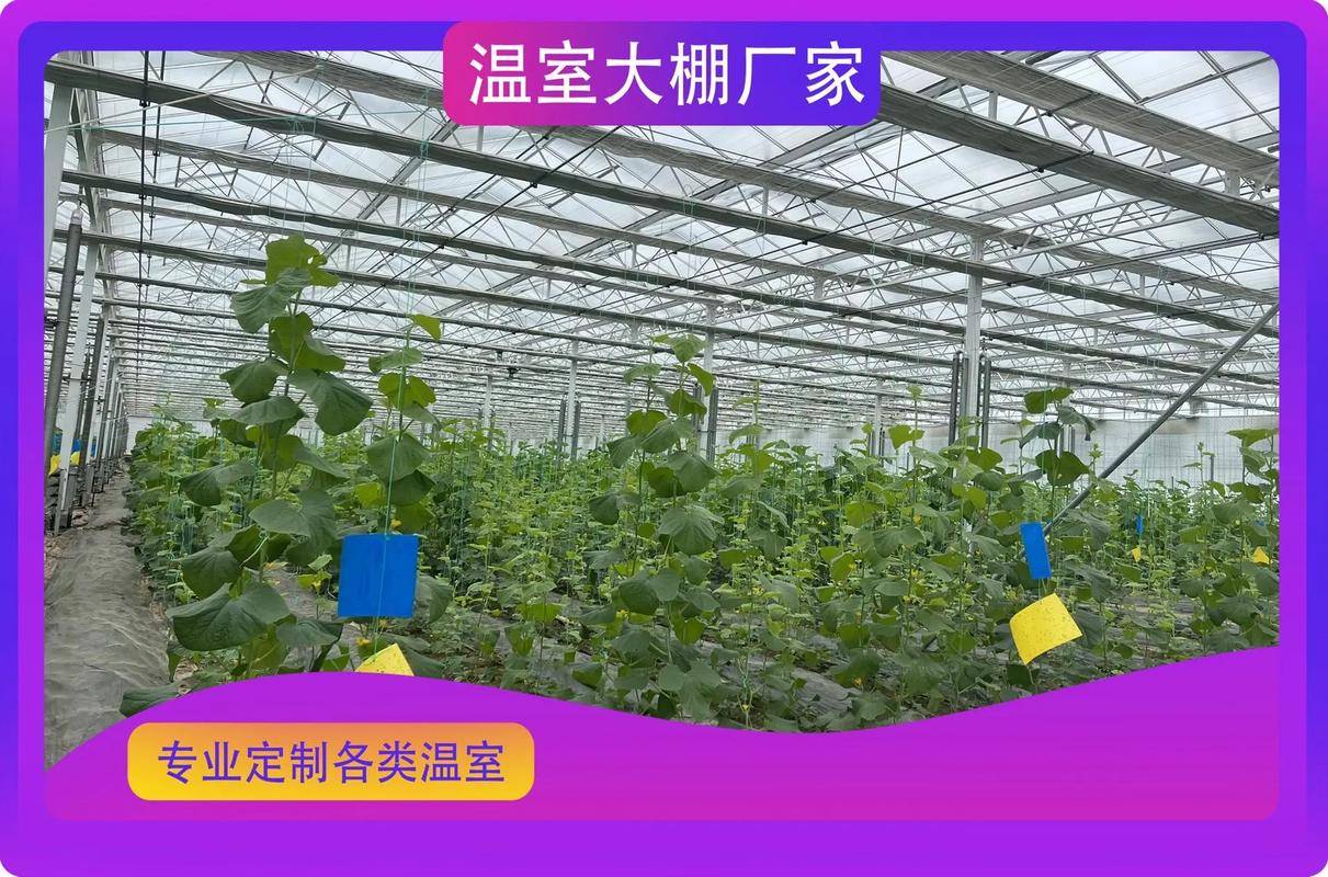 温室大棚种什么赚钱_智能温室AI管控系统_机器人农业黑科技