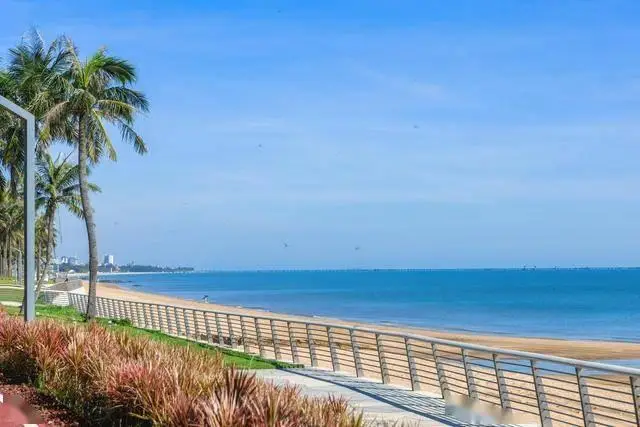 海口必打卡景点_在海口做什么生意赚钱_海口旅游攻略