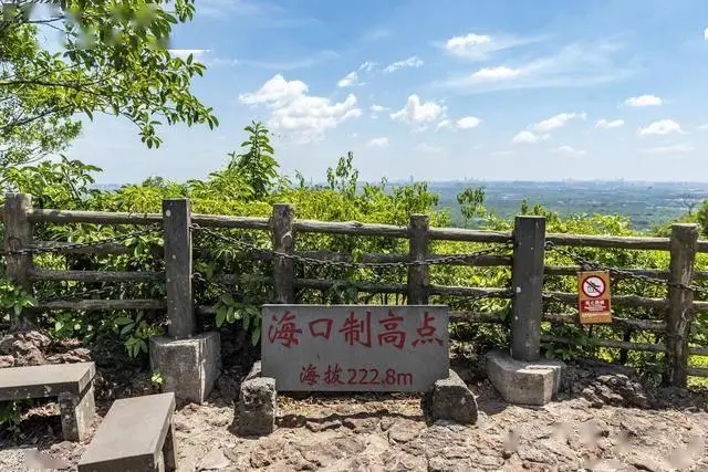 海口旅游攻略_在海口做什么生意赚钱_海口必打卡景点