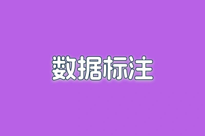 数据标注