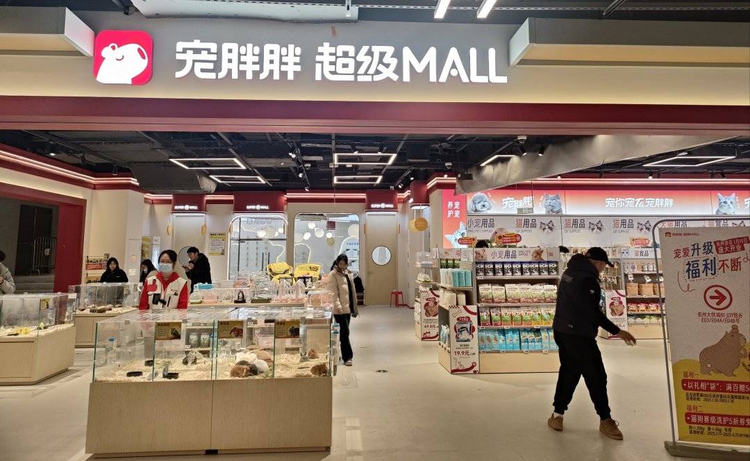 2025年加盟市场趋势_加盟品牌数字化运营_未来免费的赚钱快的加盟项目