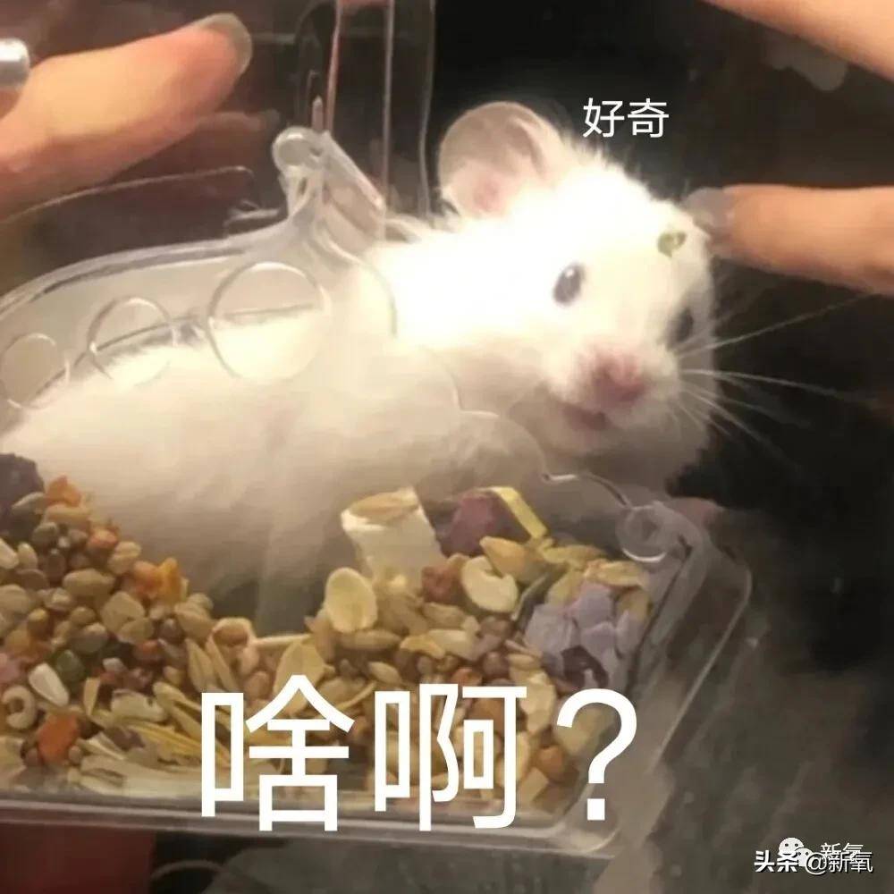 泰娱新生代艺人的奇特业务_自明星赚钱_当代泰娱艺人的神奇副业