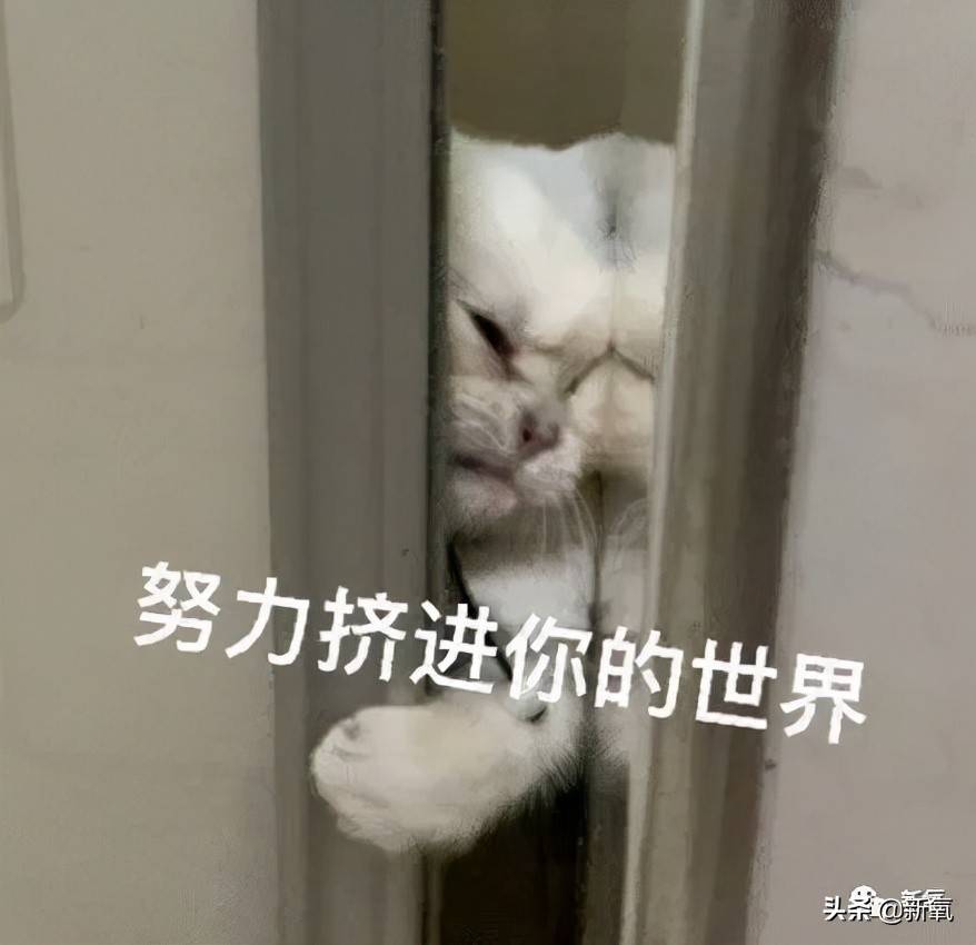 当代泰娱艺人的神奇副业_泰娱新生代艺人的奇特业务_自明星赚钱
