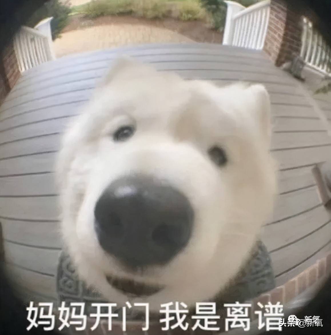当代泰娱艺人的神奇副业_自明星赚钱_泰娱新生代艺人的奇特业务
